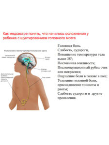 Специальность сестринское дело в педиатрии