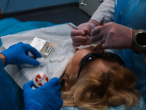 Курсы врача стоматолога