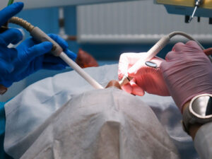 Порядки оказания стоматологической помощи детскому населению