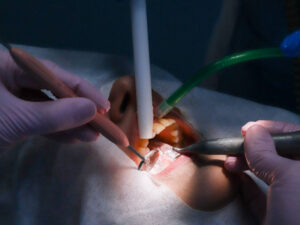 Повышение квалификации терапевтическая стоматология