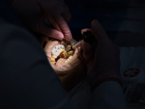 профессиональная переподготовка стоматология общей практики