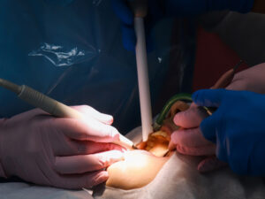 Получить стоматология сертификат