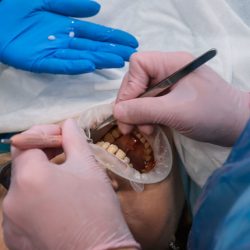 Аккредитация зубных врачей